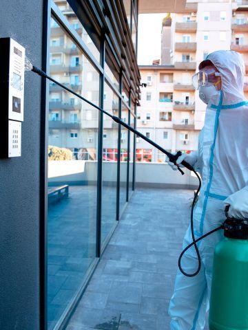 Professional Odor Removal and Cleaning Services in Dayton, Ohio