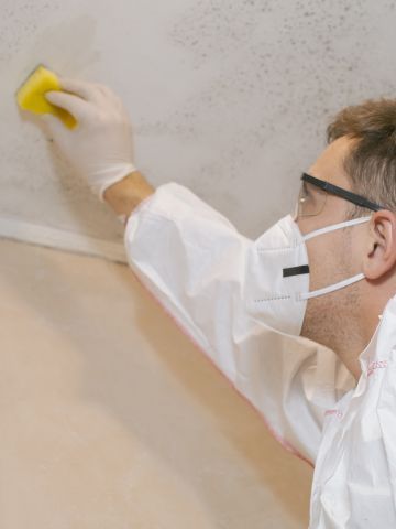 Professional Odor Removal and Cleaning Services in Dayton, Ohio