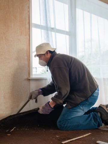 Restoring Commercial Properties with Professional Odor Removal