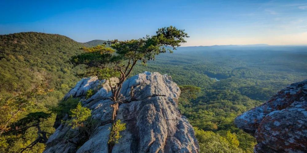 Sports and Nature Gear: Top Reviews for Outdoor Enthusiasts