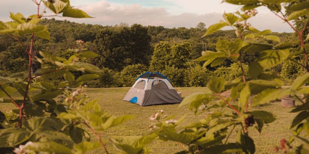 Scenic campsite in Connecticut with forest backdrop