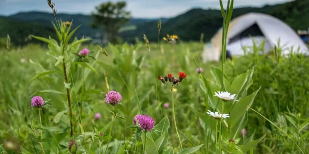 Tent camping at Smugglers' Notch State Park in Vermont's Green Mountains
