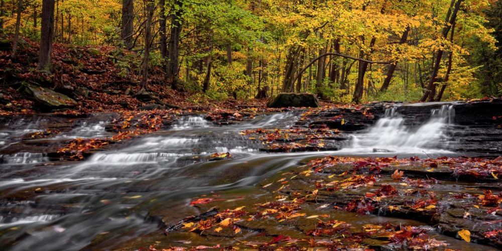 A waterfall in the middle of a forest with leaves on the ground.