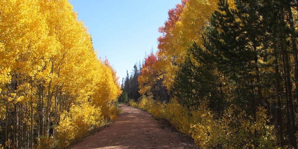 cycling in wyoming