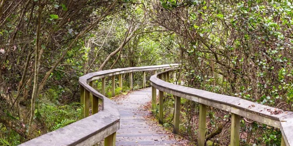 hiking in Florida