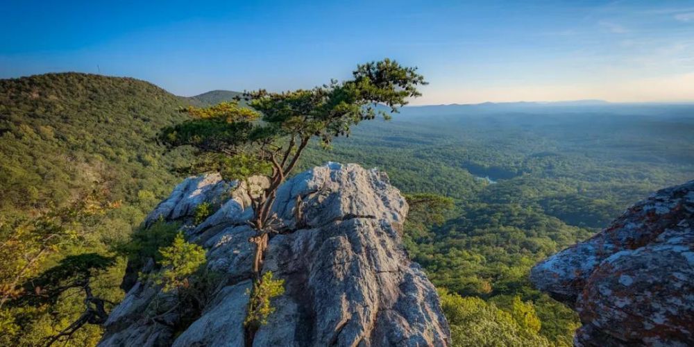 hiking locations in alabama