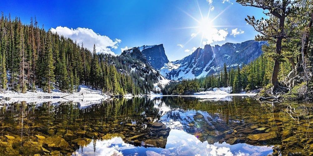 A large body of water surrounded by trees on a sunny day.