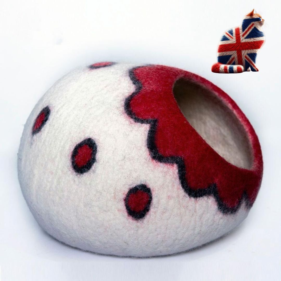 Cat Caves