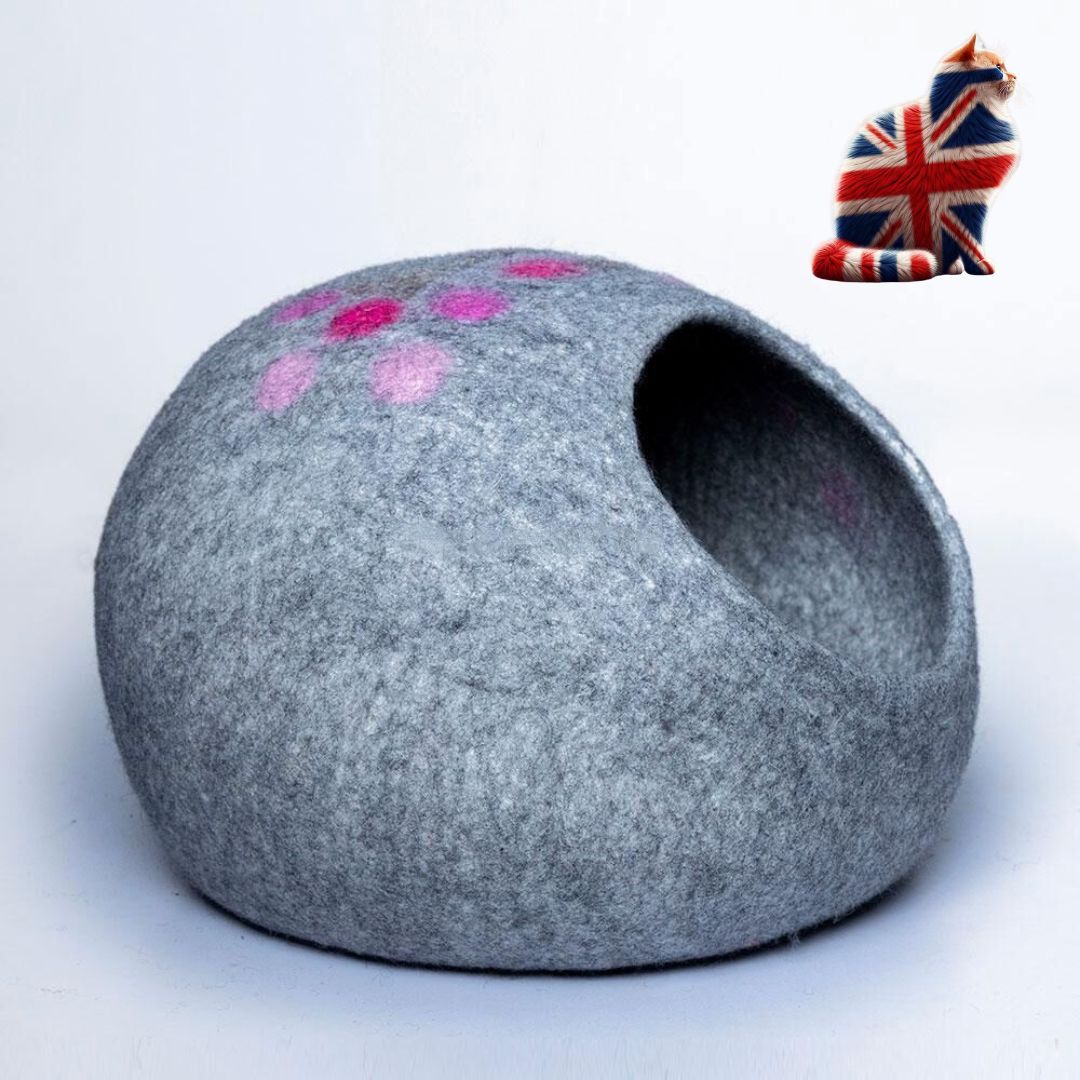 Cat Caves