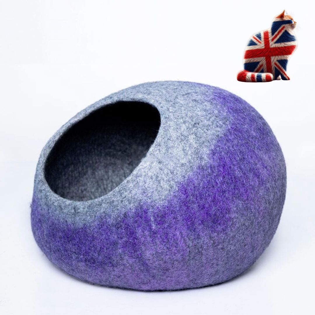 Cat Caves