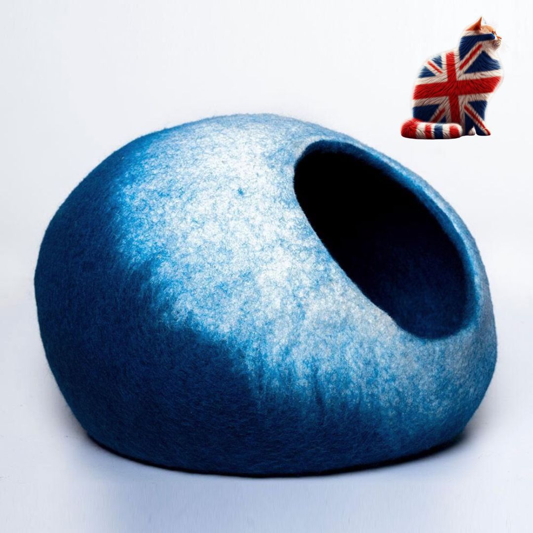 Cat Caves