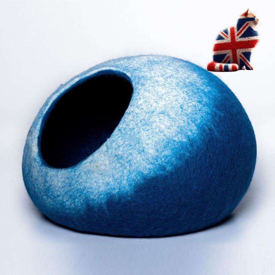 Cat Caves