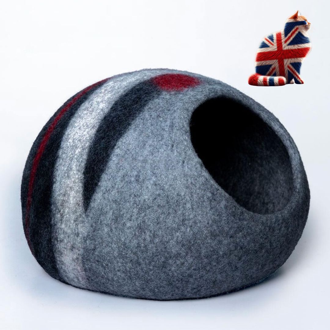 Cat Caves