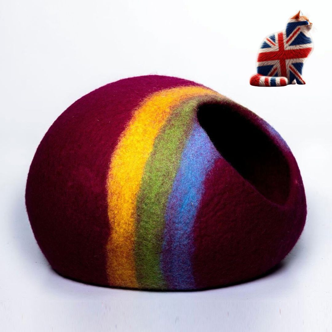 Cat Caves