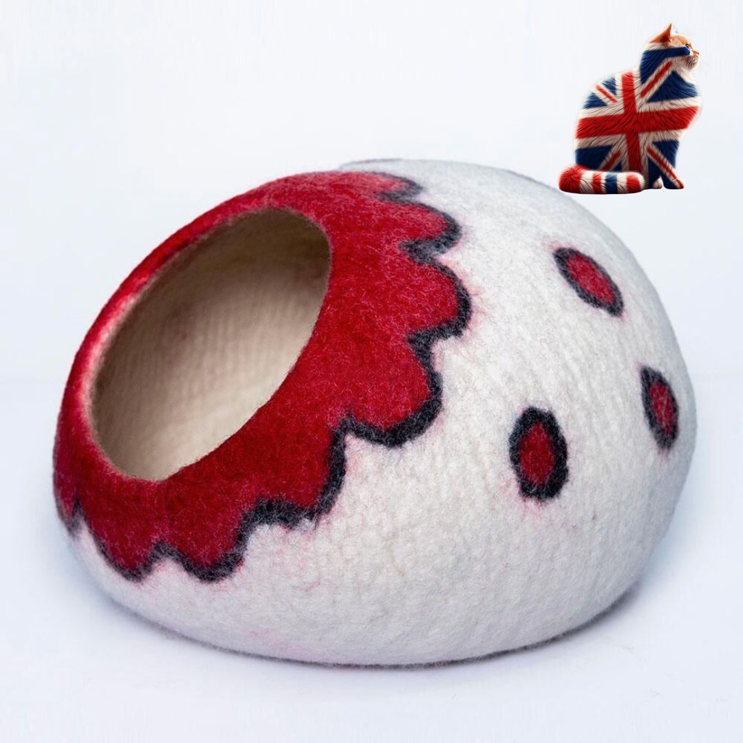 Cat Caves