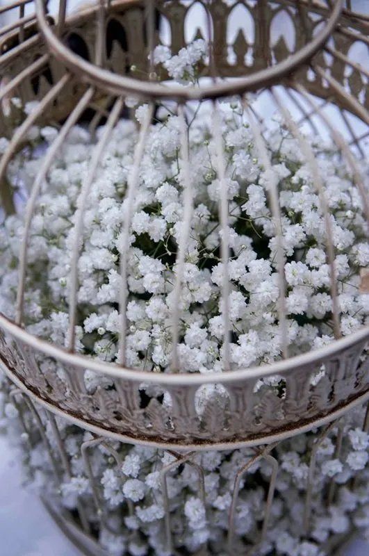 Mini cage with flowers