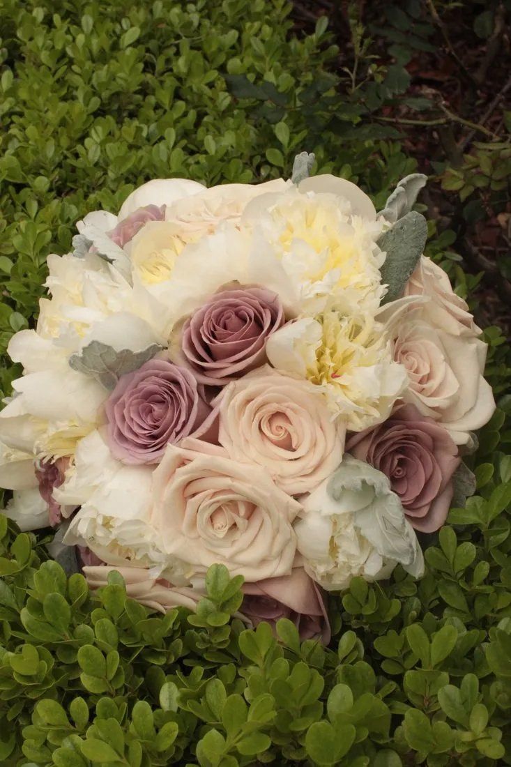 Colorful flowers