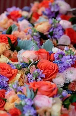 Row of colorful flowers