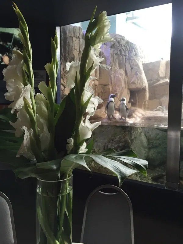 White flower with vase