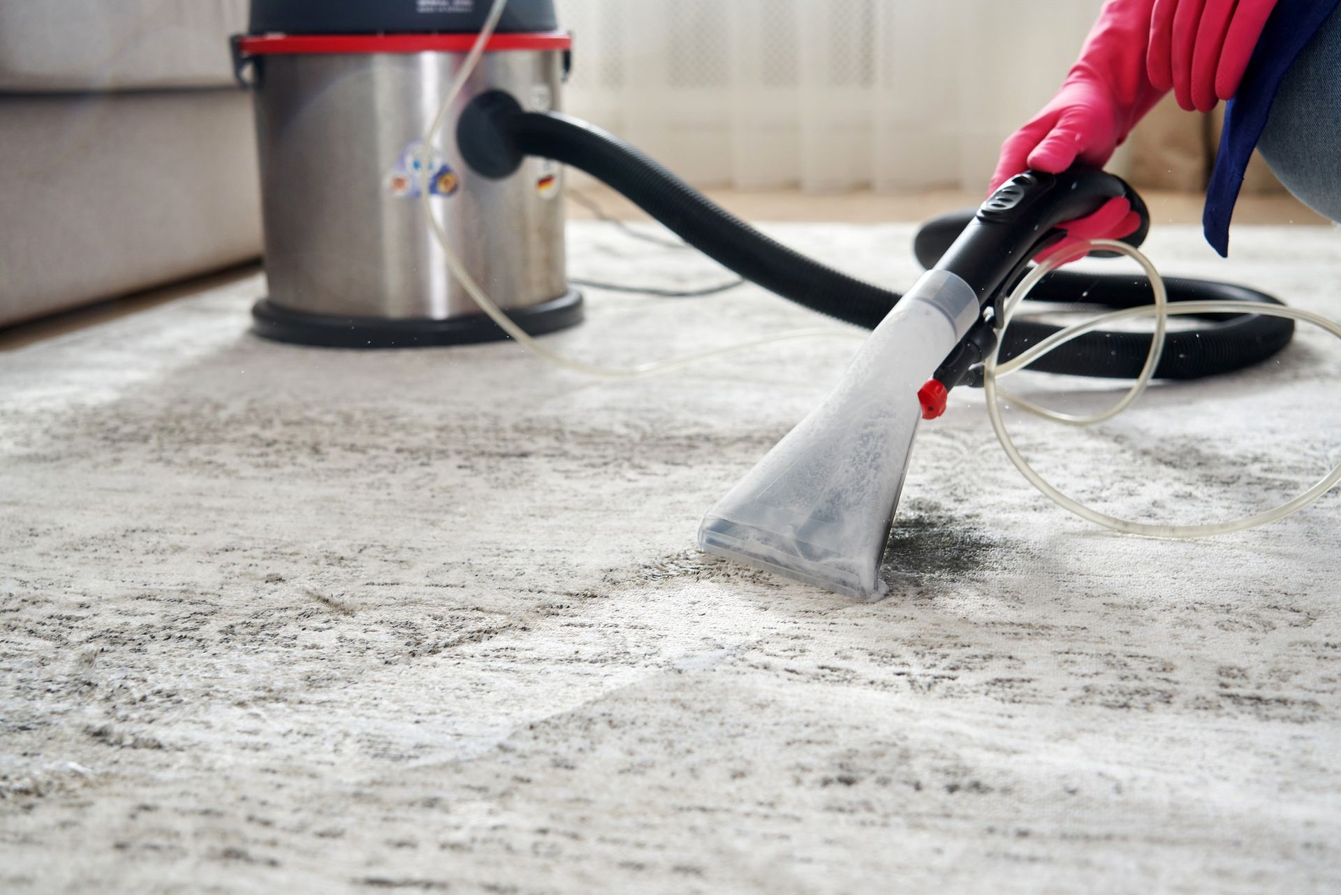 A person is cleaning a carpet with a vacuum cleaner.