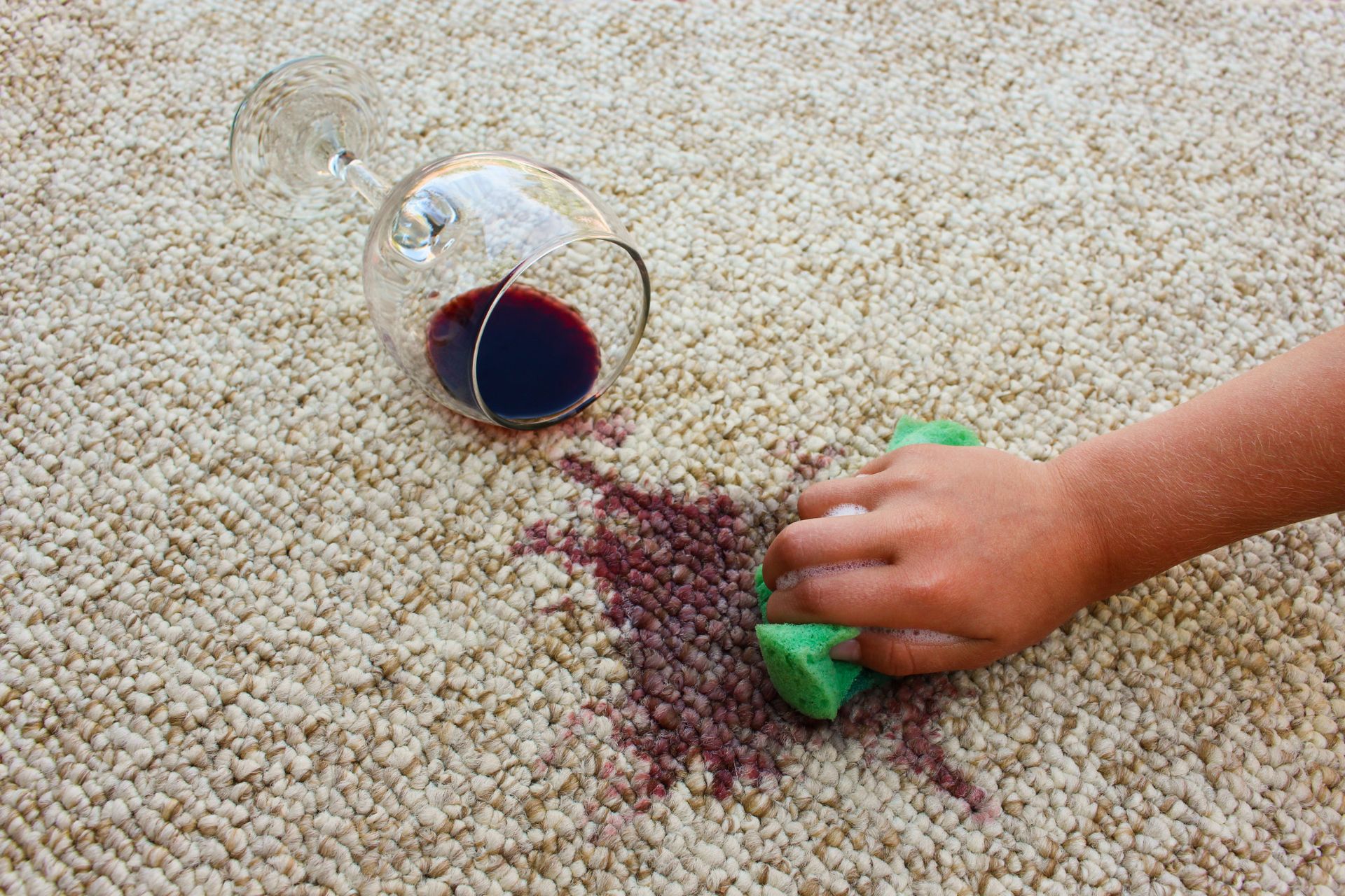 A person is cleaning a carpet with a sponge.