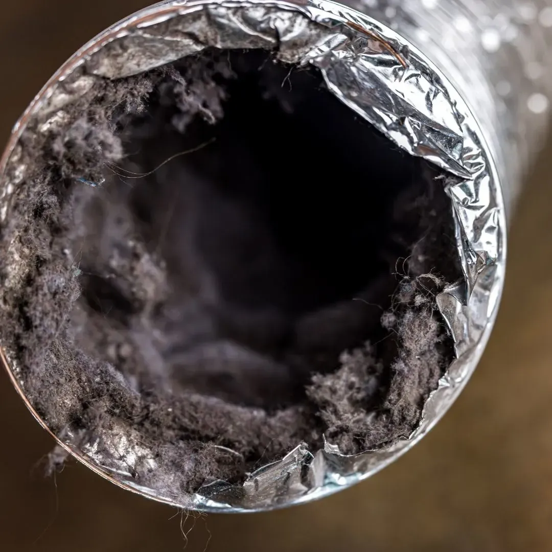 Dirty dryer vent in Castle Rock