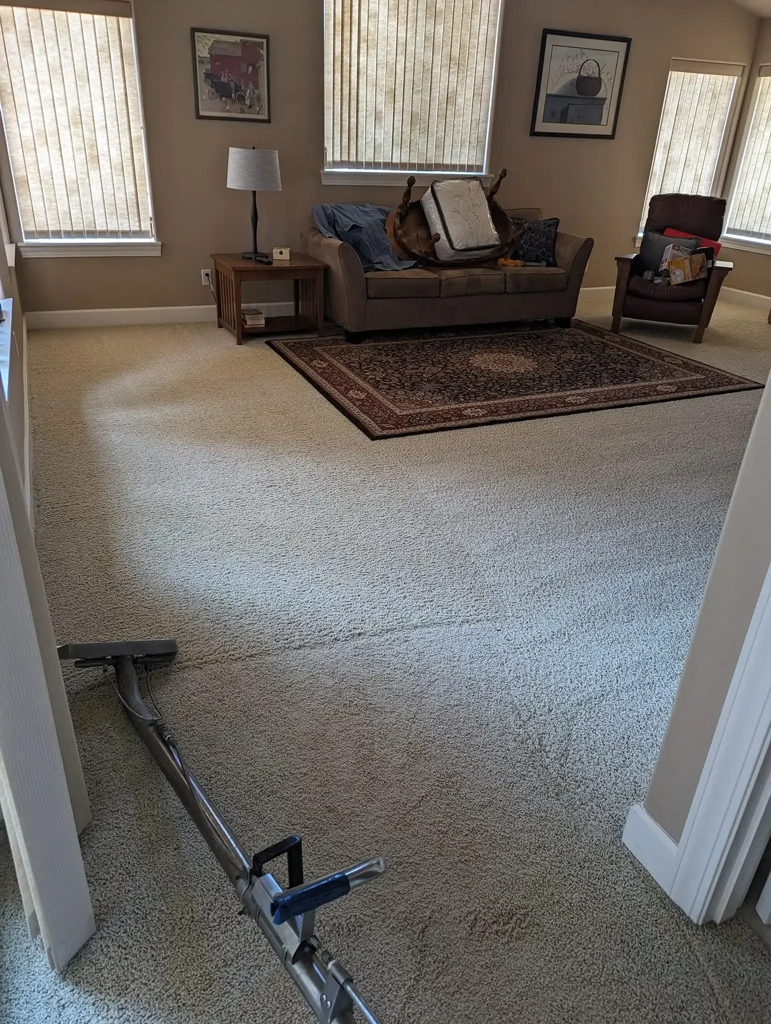 Professional organic carpet cleaning in Castle Rock WA