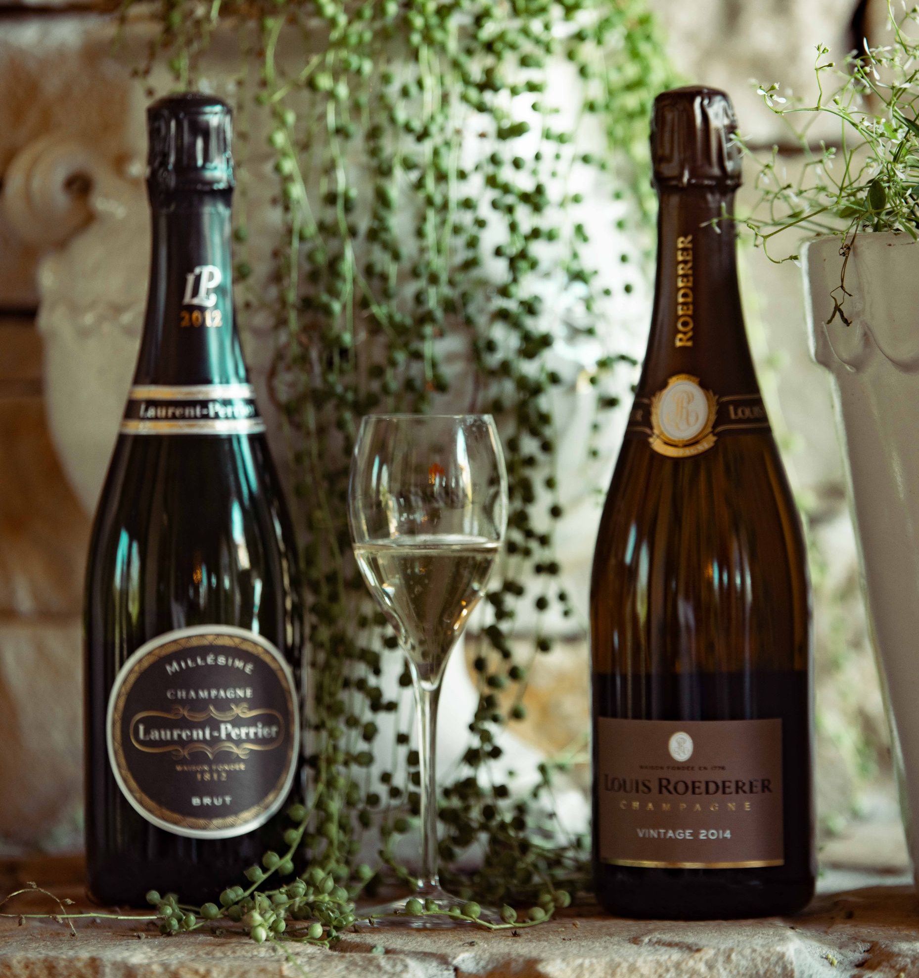 Fizz Champagne Club Reserve level bottle.