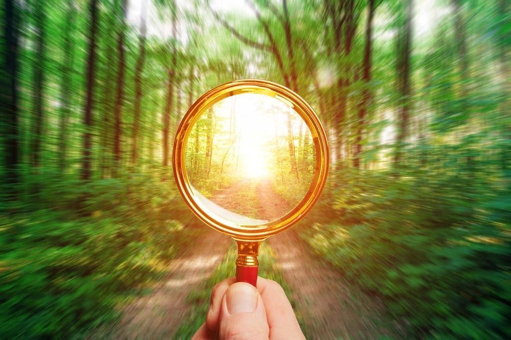 Hand holding magnifying glass focused on bright sunlight through a forest path.