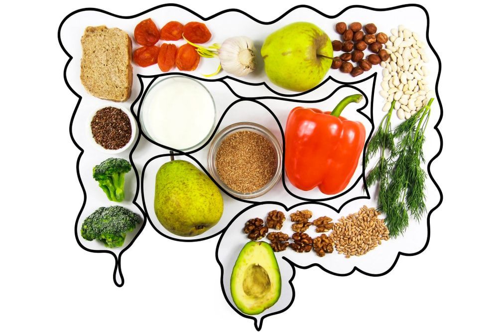 A Drawing Of A Large Intestine Filled With Fruits And Vegetables — Naturopath Australia In Mermaid Beach, QLD