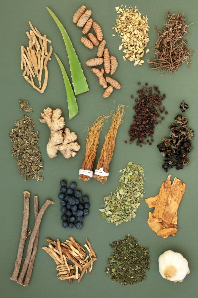 A Variety Of Herbs On A Green Surface — Naturopath Australia In Tweed Heads, NSW