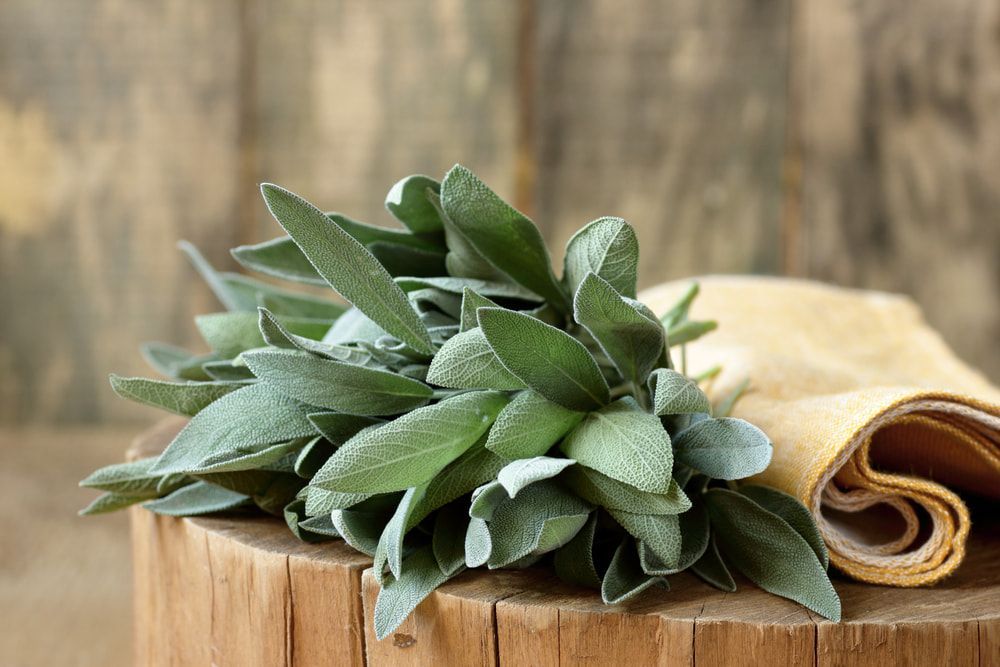 Herb Leaves On A Wooden Stump — Naturopath Australia In Mermaid Beach, QLD