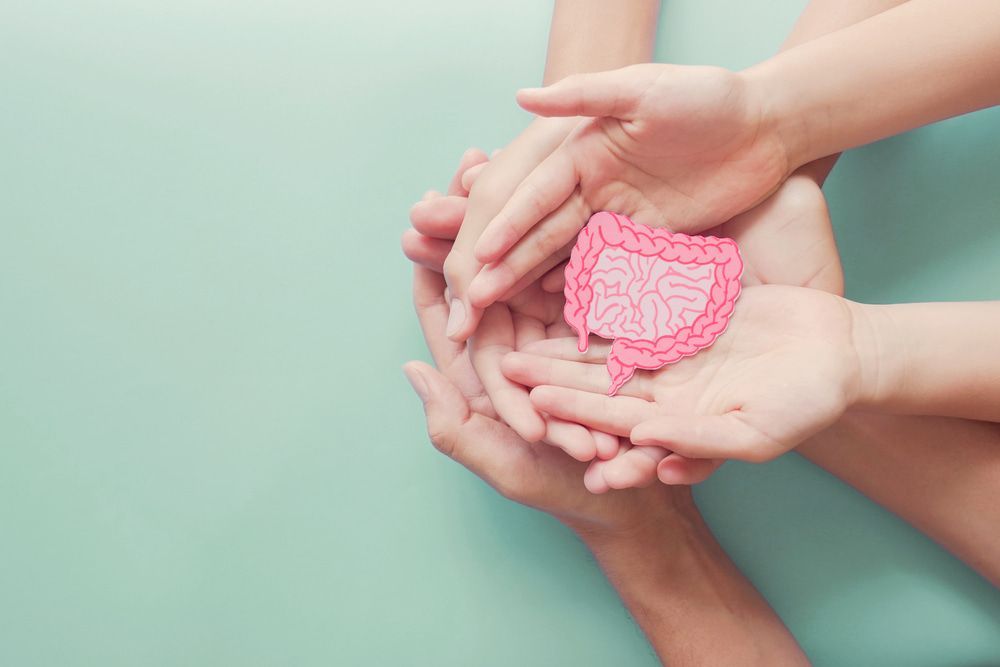 A Group Of Hands Holding A Paper Cut Out Of A Large Intestine — Naturopath Australia In Mermaid Beach, QLD