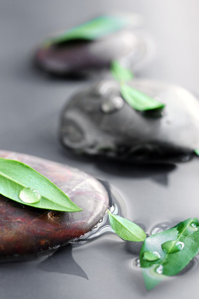 Stones Submerged In Water With Green Leaves And Water Drops — Naturopath Australia In Mermaid Beach, QLD
