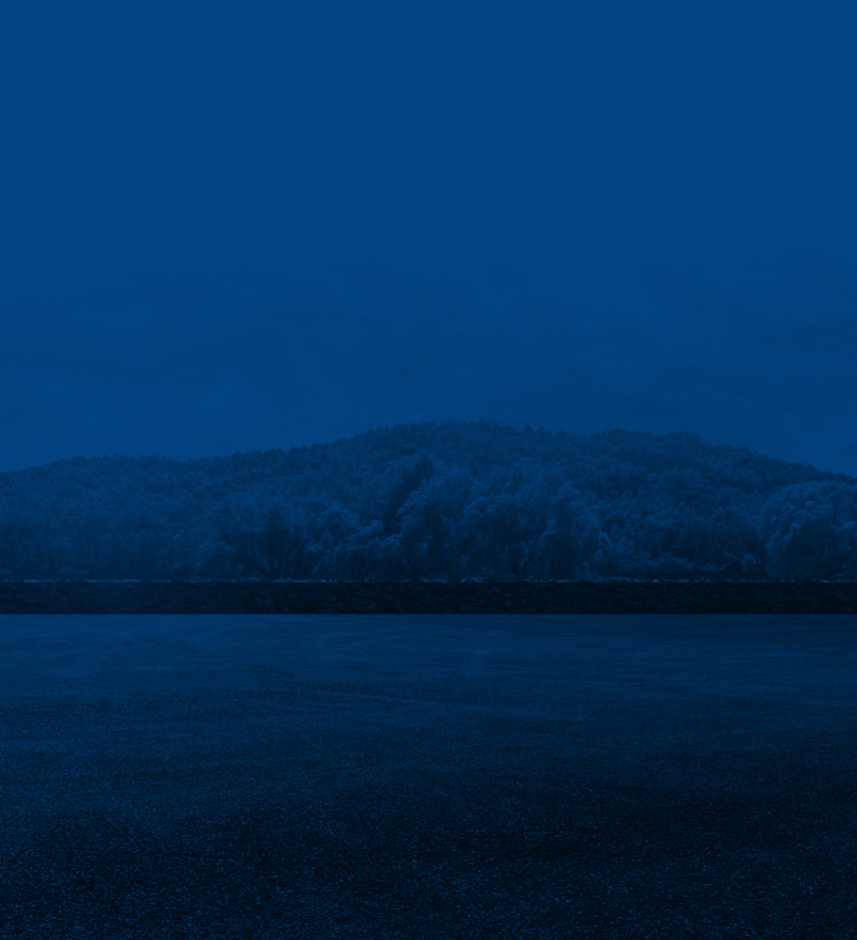 Dark blue landscape: horizon line, distant mountain, sky.