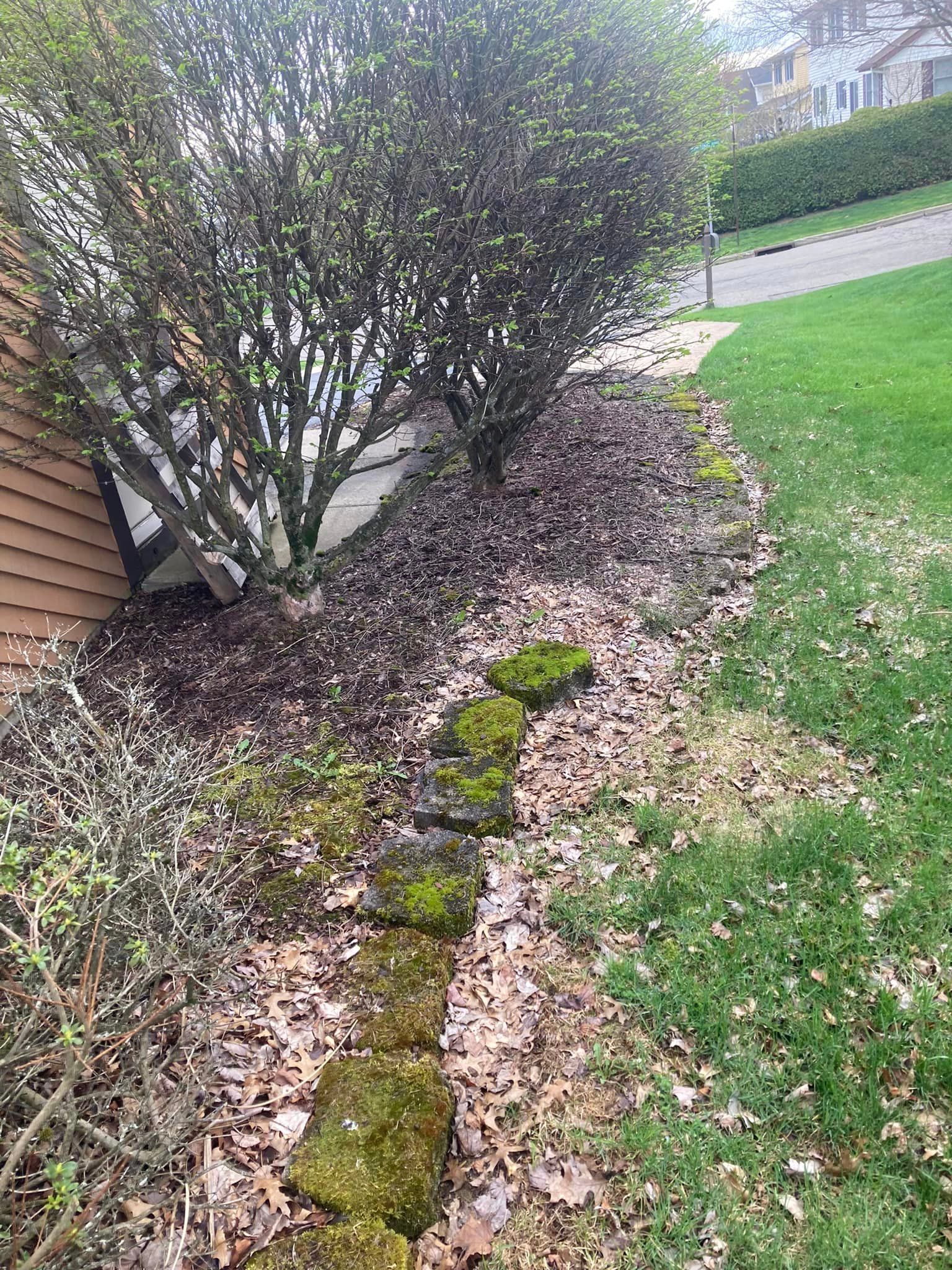 A lawn with a stone walkway leading to a house