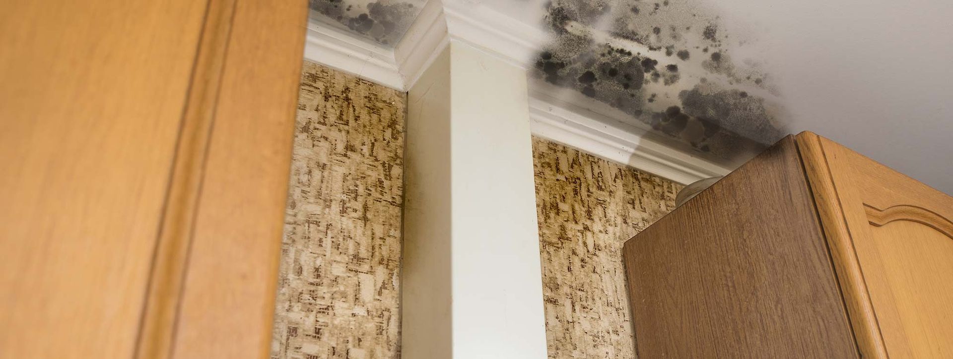 A room with a ceiling that has black mold growing on it