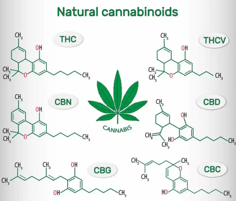 The chemical structure of natural cannabinoids is shown