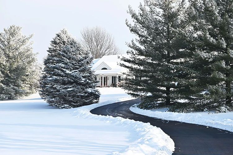 Snow-covered driveway curving through a winter yard toward a white house and evergreen trees