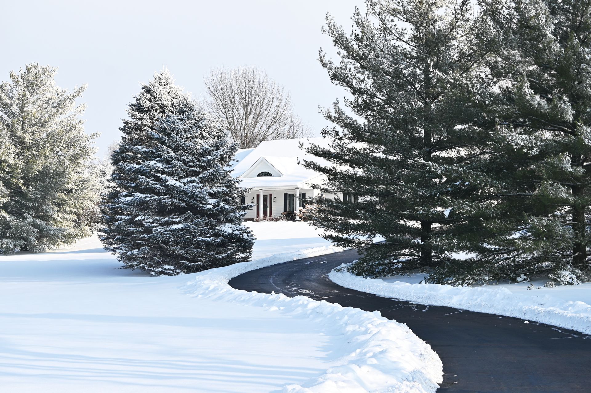 Snow-covered driveway curving through a winter yard toward a white house and evergreen trees