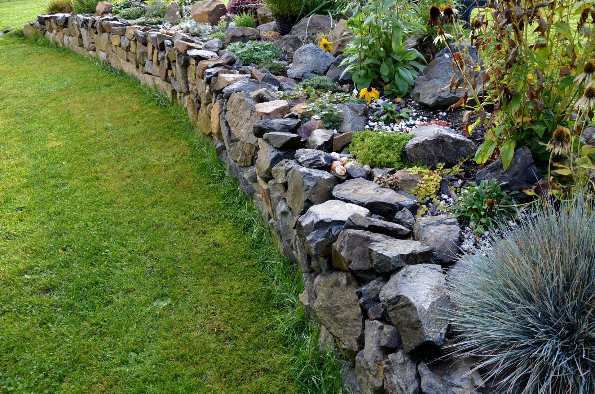 Curved stone garden border beside a green lawn with rocks and succulents