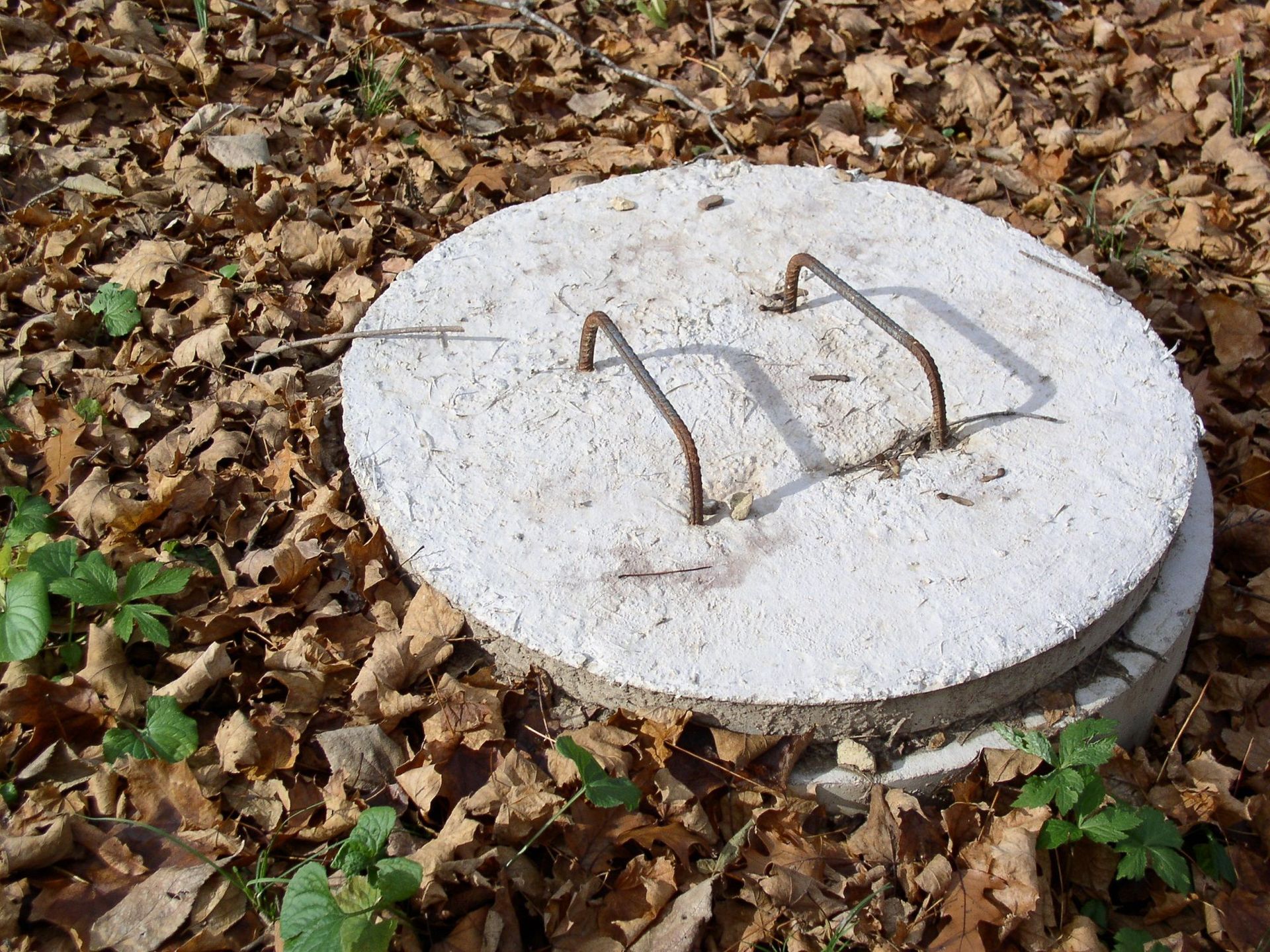 Concrete manhole cover with rusty handles on fallen leaves.