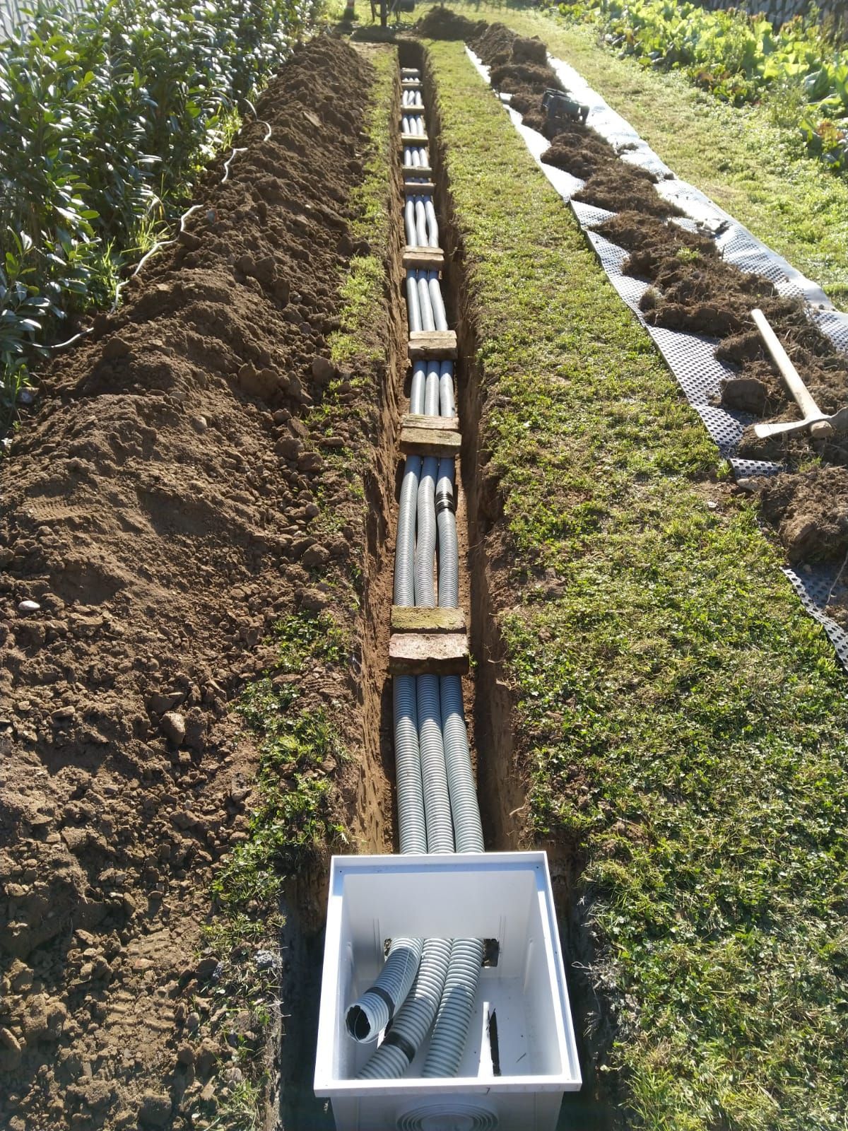 Una trincea contenente numerosi tubi elettrici grigi, separati da supporti in legno, che conducono a una scatola di derivazione in un campo.