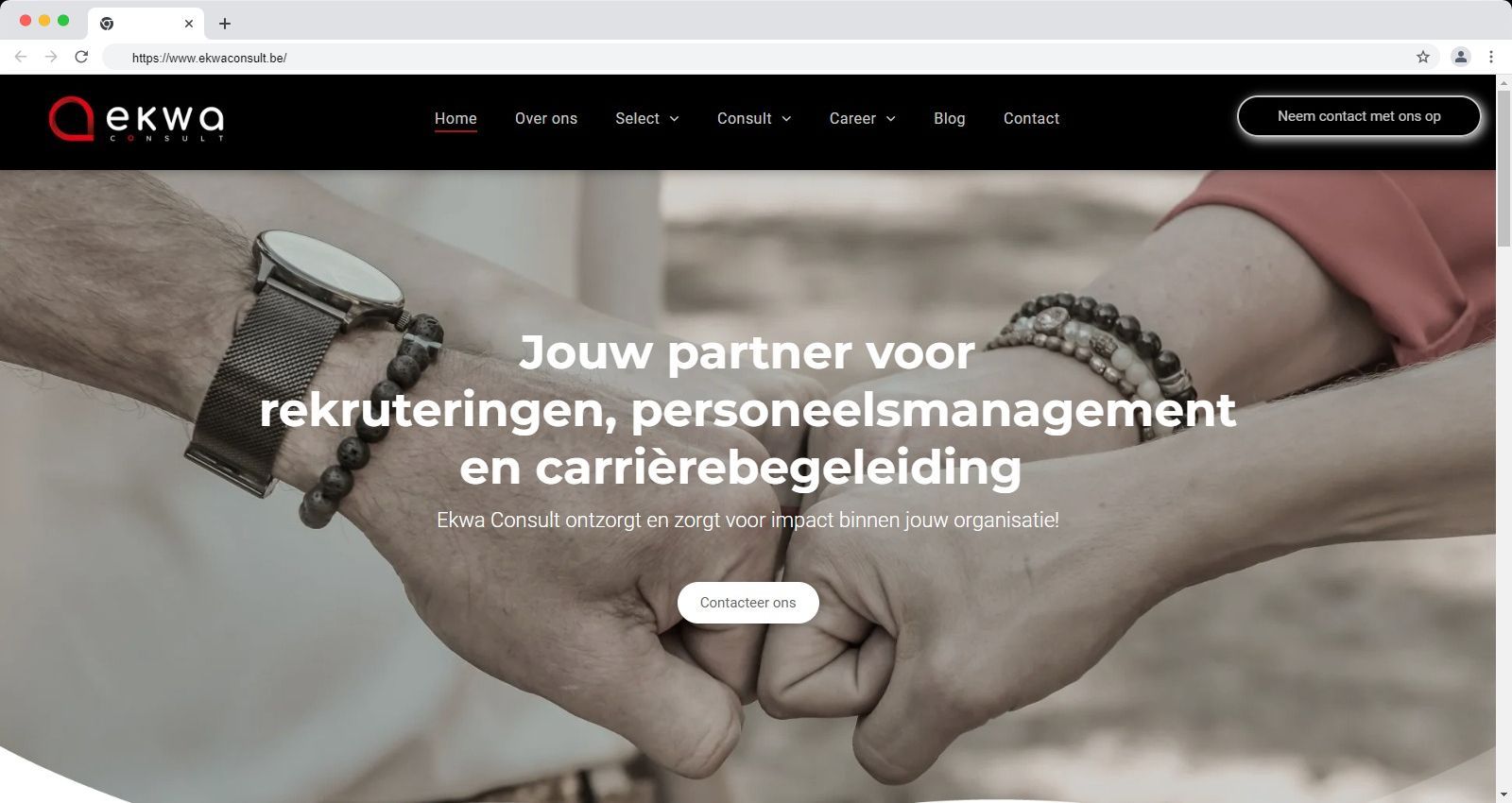 Consulting, Design and development