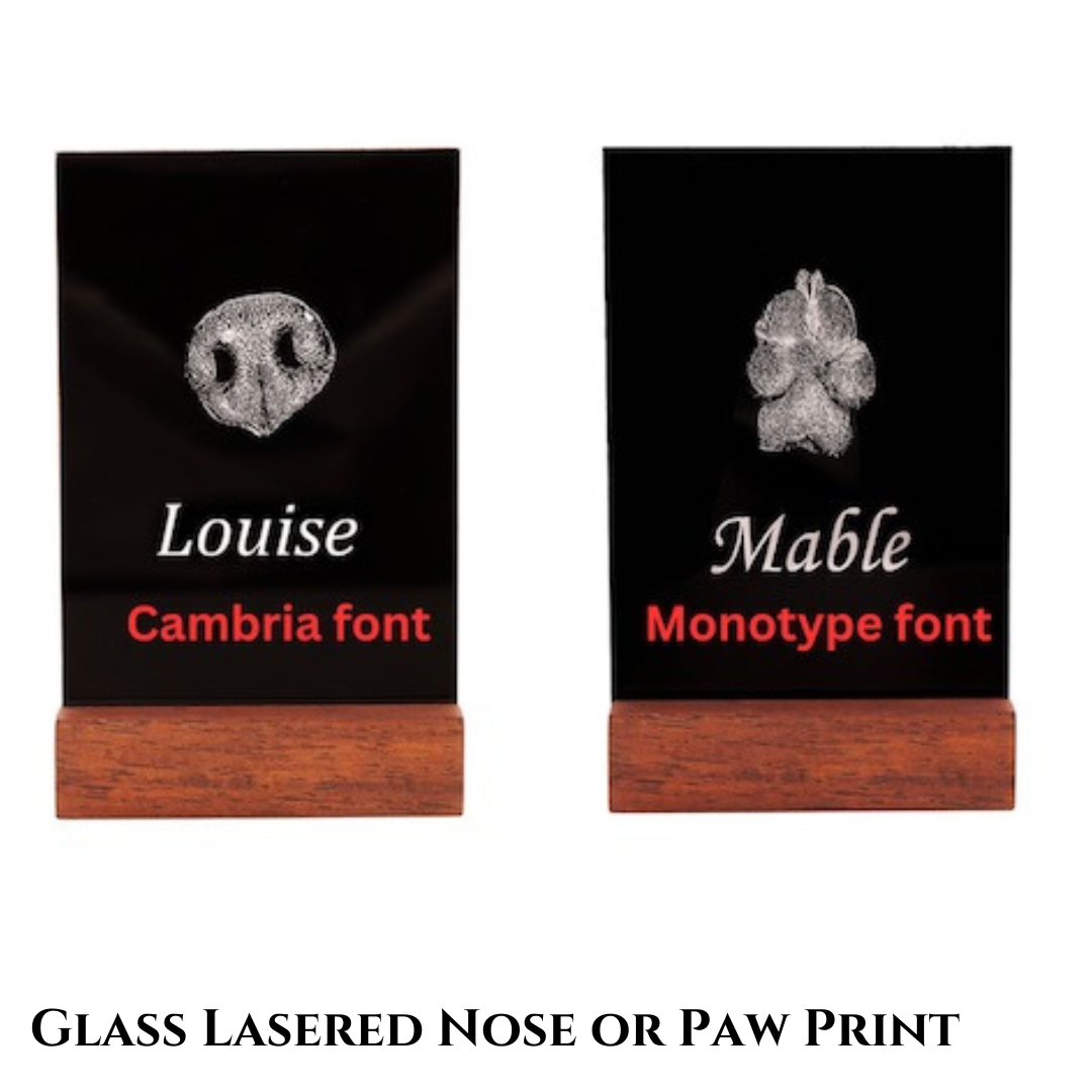 Black glass with white laser print of pet's nose or paw and name engraved below the print.