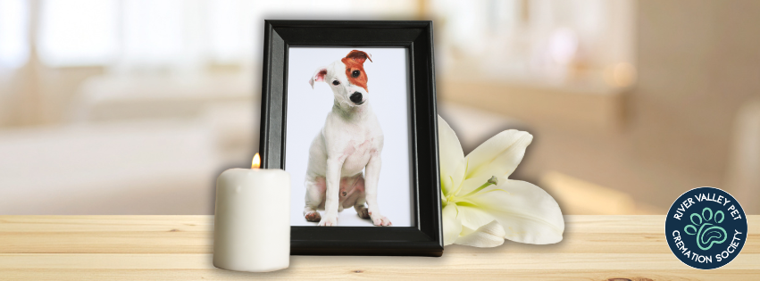 Table set with a photo of a dog next to a candle
