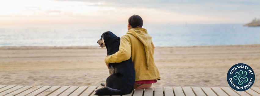 Dog and owner sitting on the dock on a beach
