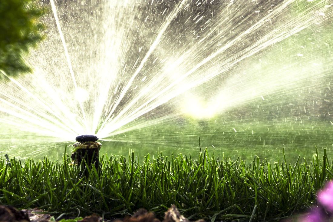 Esperti in irrigazione a Novara: progettazione e installazione di impianti efficienti