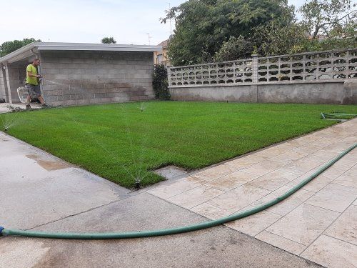 Il tuo giardino perfetto a Novara: impianti di irrigazione personalizzati