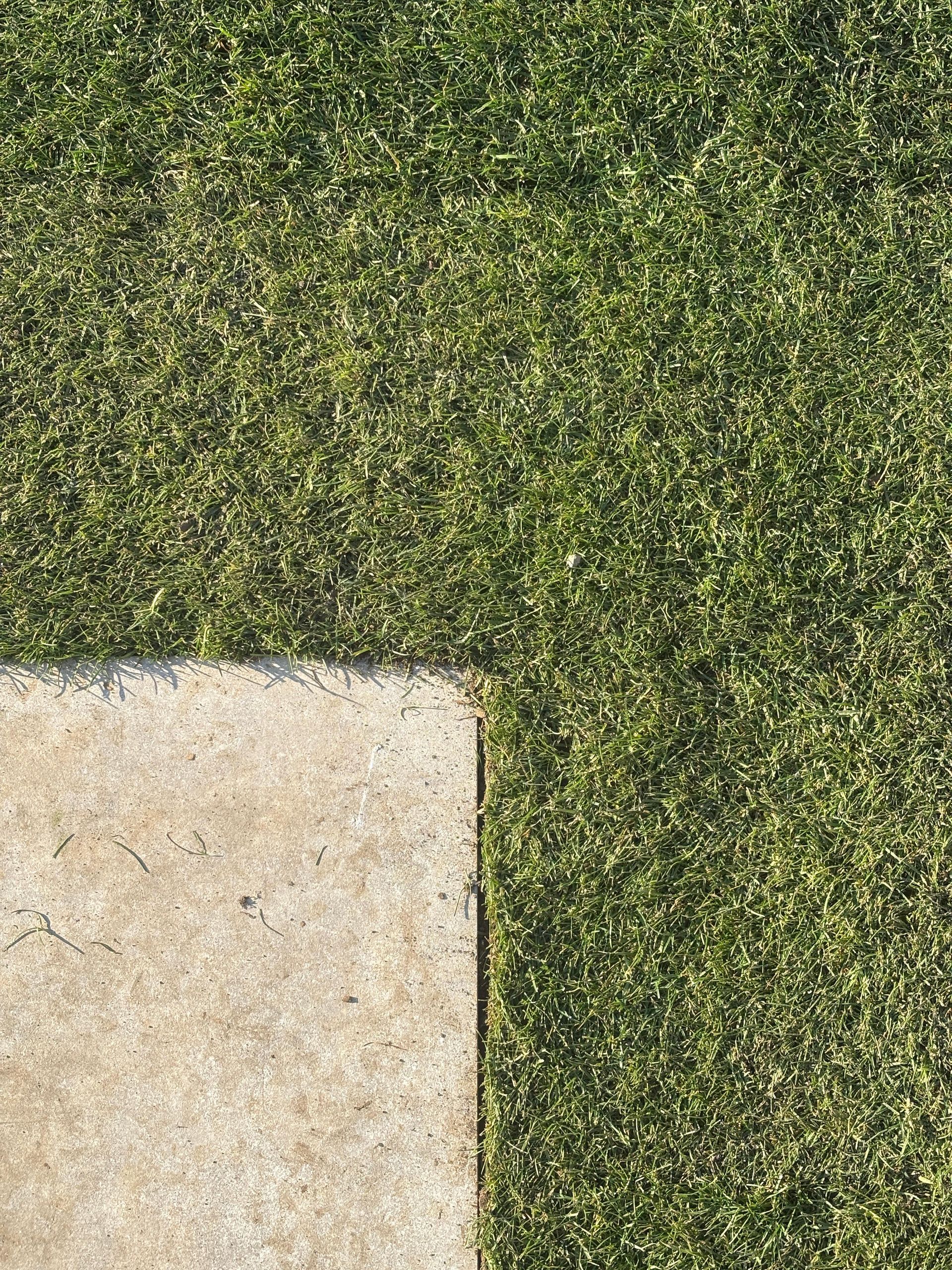 Realizzazione aiuole e posa prato a Novara